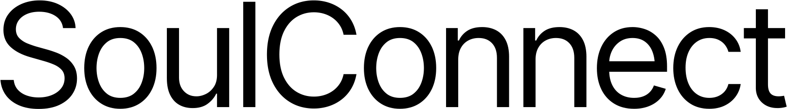 SoulConnect DEMO